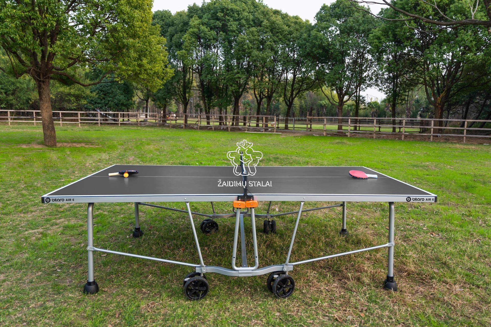 Stalo teniso stalas Bilaro Air 6, pilkas, 6mm HPL plokštė, lauko